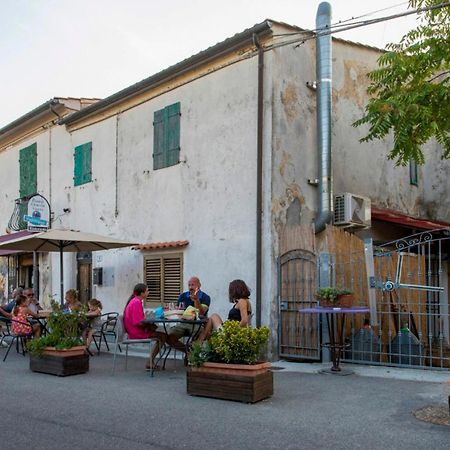 Villa Di Campagna 10 Posti Con Piscina Privata Castellina Marittima Exteriör bild